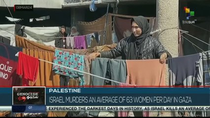 Palestine: Israel kills an average of 63 women per day in Gaza