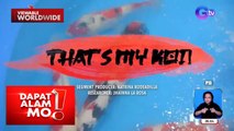 Alagang koi fish, humahakot ng iba’t ibang awards?! | Dapat Alam Mo!