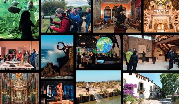 Experiencias exclusivas para suscriptores