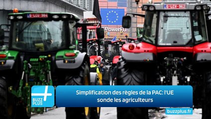 Simplification des règles de la PAC: l'UE sonde les agriculteurs