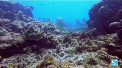 'Sea surface temperatures last month were the hottest on record'