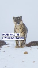 Locals hold the key to conservation