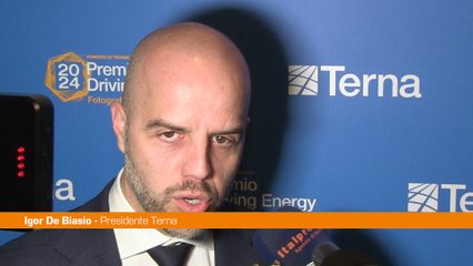 Premio Driving Energy 2024, De Biasio "Raccontiamo Terna con l'arte"