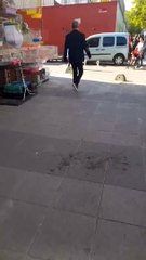 Man intervenes in street cat standoff