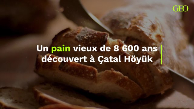Un pain levé découvert à Çatal Höyük pourrait être le plus ancien du monde , vieux de 8 600 ans