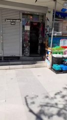 Turkish man's cat keeps getting into street fights