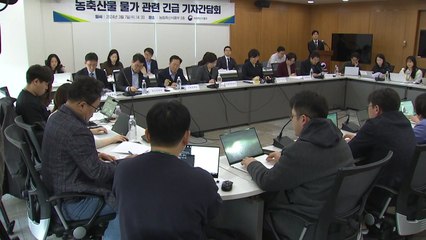 농식품부 "사과·배 강세 불가피...수입 협상해야" / YTN