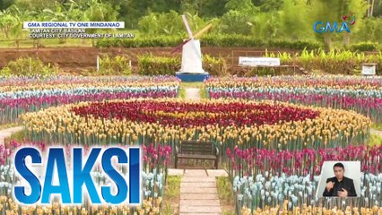 30,000 tulips na gawa sa recycled bottles, tampok sa Lamitan City Ecopark | Saksi