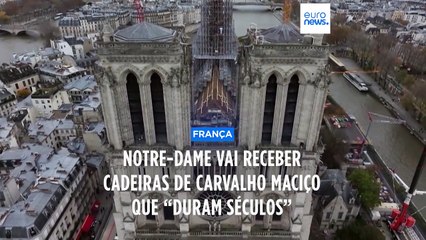 Notre-Dame vai receber cadeiras de carvalho maciço que “duram séculos”