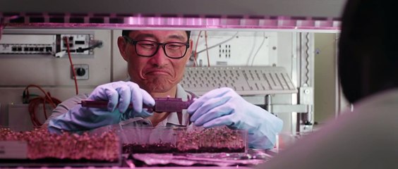 Filme Passageiro Acidental/Stowaway 2021 Dublado