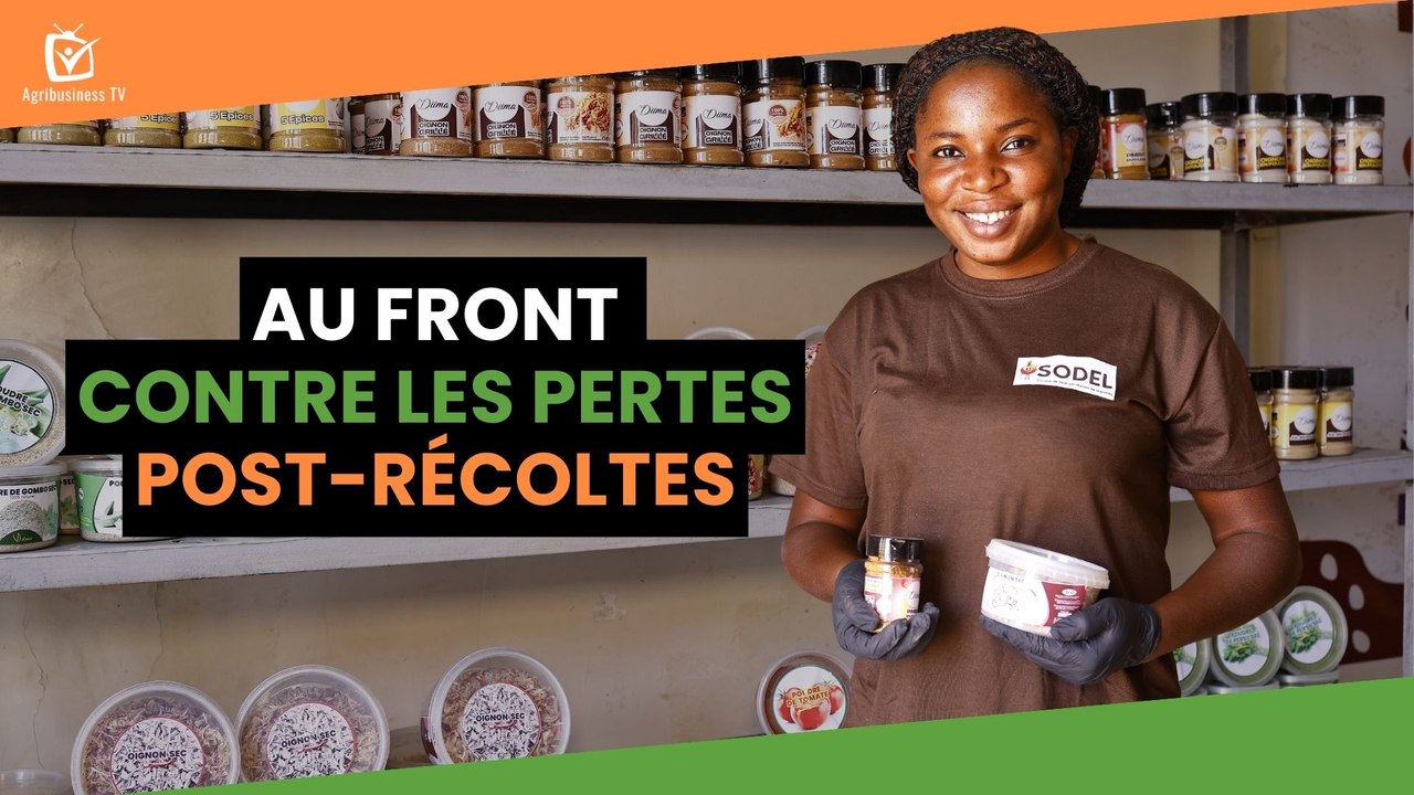 Burkina Faso : Au front contre les pertes post-récoltes