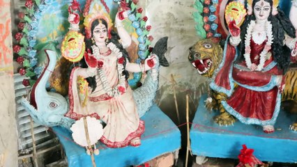 Banbibi Temple of Deulbari No. 3 of Sundarbans and some new strange trees. Episode 8. @sundarbonersathe