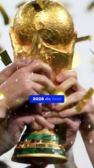 Plus de CDM chez TF1 ?! (Exclu Dailymotion)