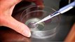 Alabama Governor Signs IVF Protection Bill