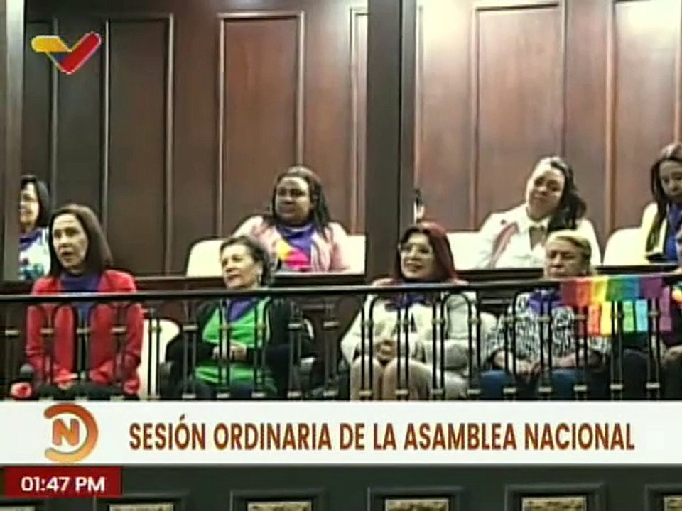 AN aprobó en primera discusión el Proyecto de Ley Orgánica para la Igualdad de las Mujeres