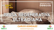 Pausa regenerativa ultradiana