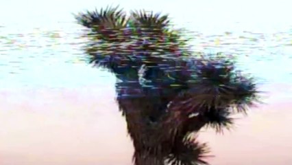SHARON VAN ETTEN — Used To It · 2022 ● Sharon Van Etten Music Video Collection DVD