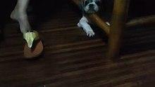 The drama king Bitoy. S'ya pa luge!