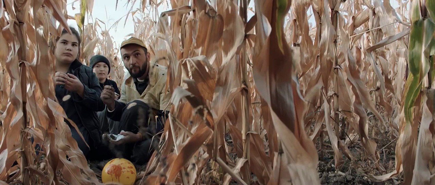 A Dark, Dark Man Streaming VOSTFR - FanStream