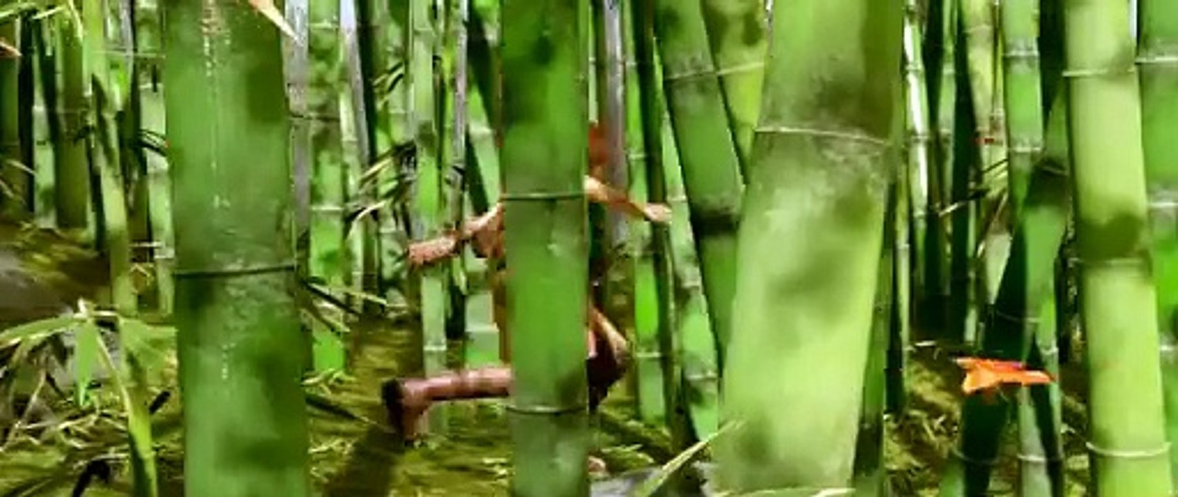 Sintel - Open Movie by Blender Foundation