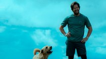 Aleteia interviews Arthur the King's Mark Wahlberg