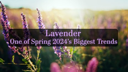 Download Video: Lavender Is One of Spring 2024's Biggest Trends