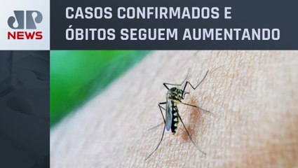 Cidade de São Paulo já soma 44 mortes por dengue