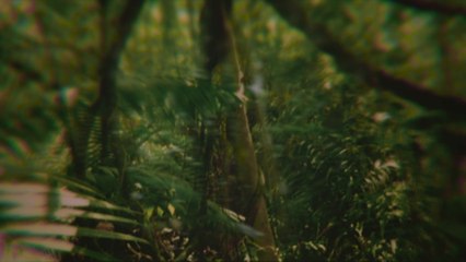 Viktor Orri Árnason - Words and Dreams (Visualizer)