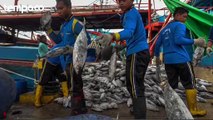 Permintaan Ikan Meningkat Selama Ramadan dan Lebaran, KKP: Harganya Terjangkau dan Stabil
