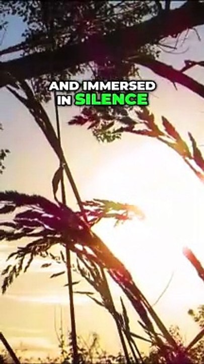 Discover the Dark Secrets of the Cursed Cottage_ A Terrifying Horror Mystery