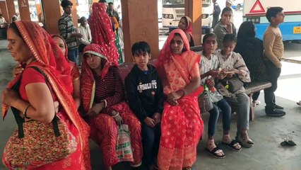 महिला दिवस आज: महिलाओं के लिए रोडवेज बस में निशुल्क यात्रा, देखें वीडियो