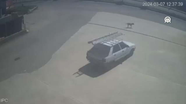 Asfalt tankerinin otomobile çarptığı kazada 1 kişi öldü, 2 kişi yaralandı