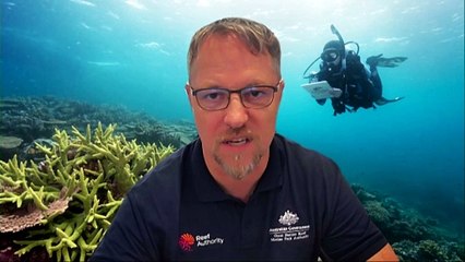 Aerial surveys confirm widespread bleaching across GBR