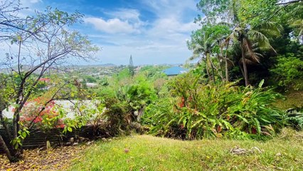 Découvrez votre futur havre de paix : Villa spacieuse à vendre à Yahoué avec Nestenn Nouméa