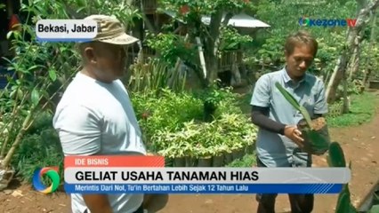 Download Video: Berawal dari Kuli Taman, Pria Paruh Baya Kembangkan Usaha Tanaman Hias