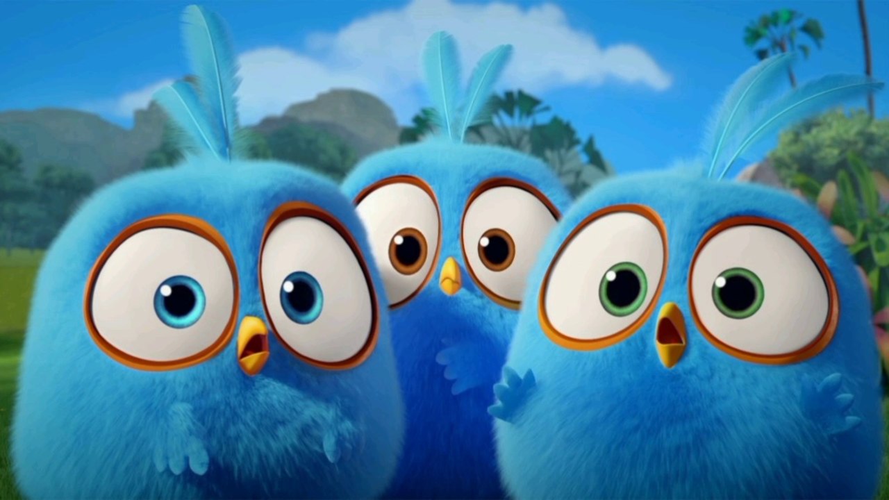 Angry Bird's Blues