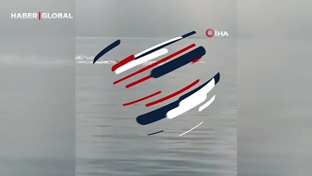 Gemlik'te büyüleyici anlar: Yunuslar görsel şölen oluşturdu