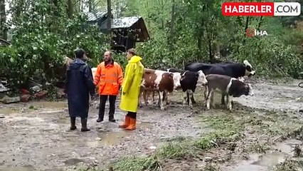 İğneada'da kaçak bungalov faciasında sanıkların yargılanmasına başlandı: Tepki çeken "Kuzu bile su birikintisinden kurtulurdu" savunması