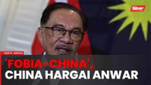 China hargai pendirian Anwar mengenai 'fobia-China'
