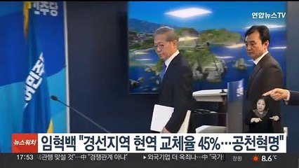 임혁백 "경선지역 현역 교체율 45%…공천 혁명"