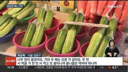 천정부지 치솟는 채소 가격…식탁 물가 '비상'