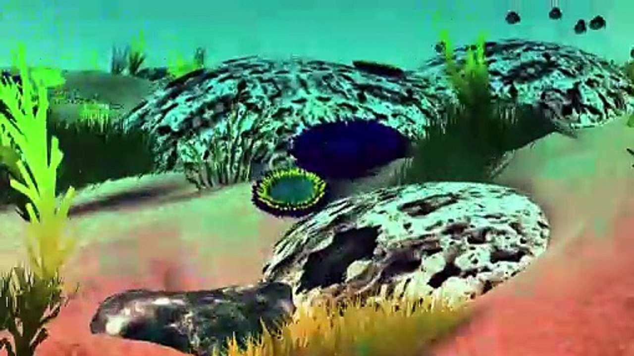 Videografik: das great barrier reef