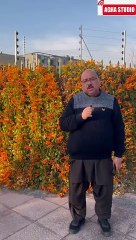 BEST COLLECTION OF GOLDEN WORDS BY AGHA TAHIR PART 2|آغا طاہر کے سنہری الفاظ کا بہترین مجموعہ پارٹ 2