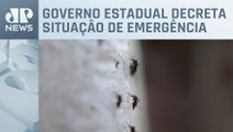 Guarulhos registra maior número de mortes por dengue de São Paulo