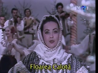 Floarea Calota - Ce am eu de la o vreme (arhiva TVR)