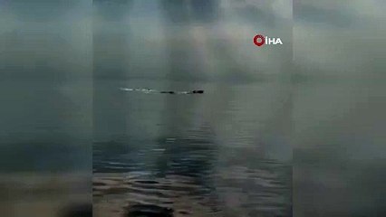 Depremlerle sarsılan Gemlik Körfezi'nde dikkat çeken anlar