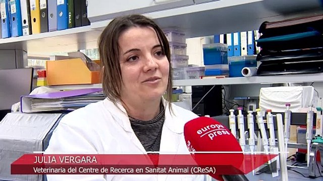 Mujeres en distintos sectores profesionales subrayan la importancia de luchar por la igualdad