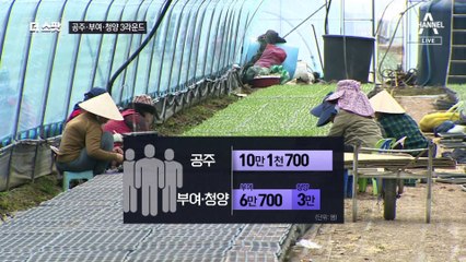 [더스팟 254]정진석-박수현 ‘3차전’ 공주·부여·청양