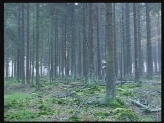 Conversation (in the woods)