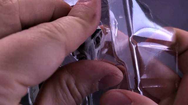 NECA Nosferatu A Symphony Of Horror Ultimate Nosferatu Figure